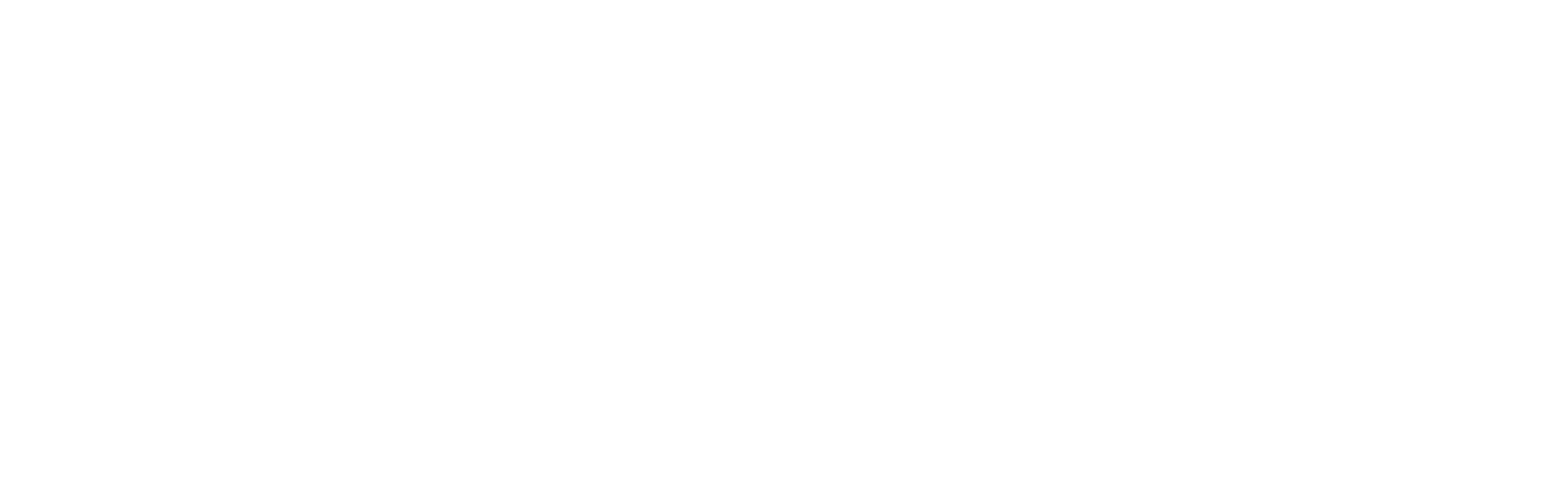 logo-exalum-blanc.png